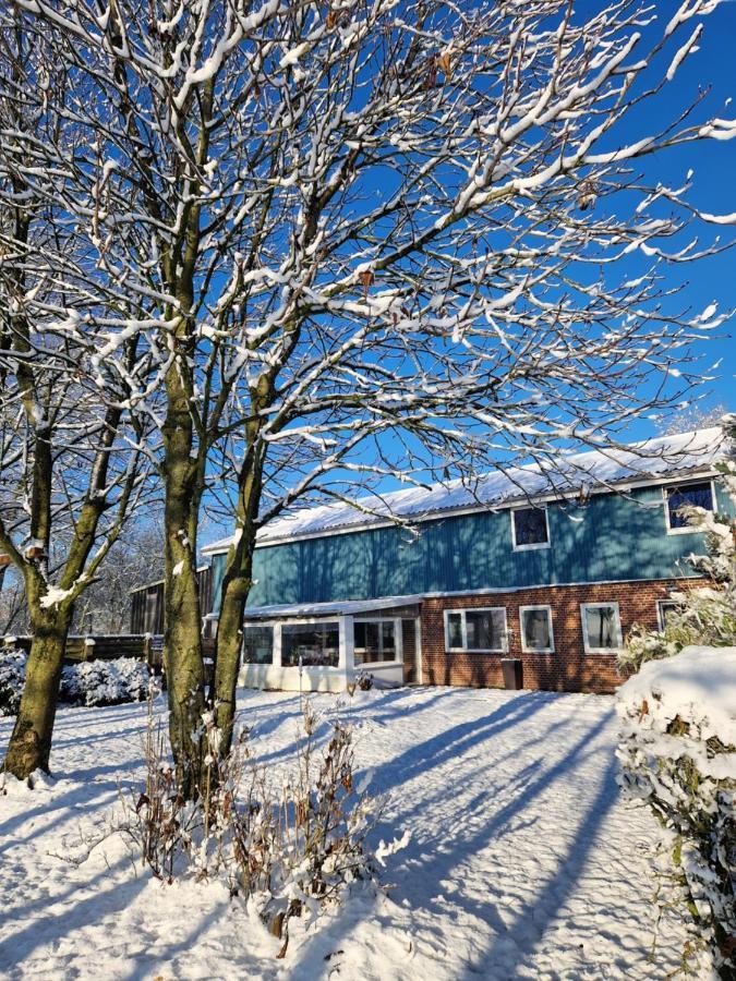Ferienwohnung Sort Sol Grellsbuelldeich 7 Aventoft المظهر الخارجي الصورة