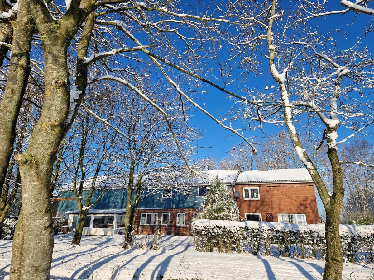 Ferienwohnung Sort Sol Grellsbuelldeich 7 Aventoft المظهر الخارجي الصورة