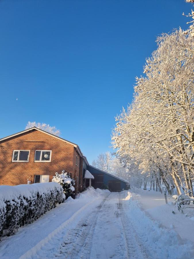 Ferienwohnung Sort Sol Grellsbuelldeich 7 Aventoft المظهر الخارجي الصورة