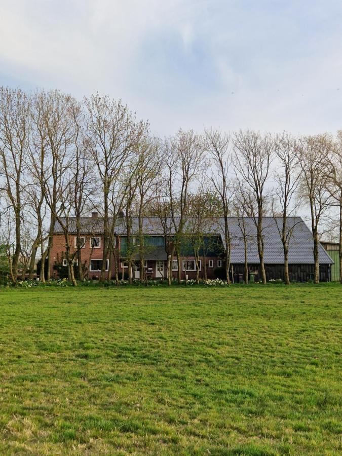 Ferienwohnung Sort Sol Grellsbuelldeich 7 Aventoft المظهر الخارجي الصورة